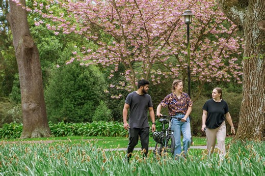 About UC | University of Canterbury