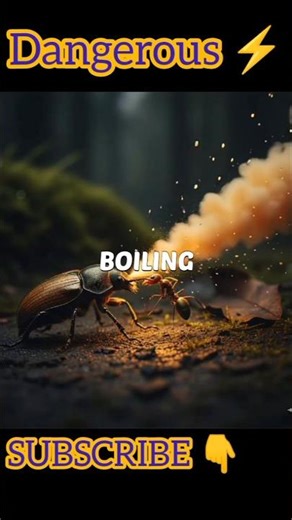 This Insect Shoots BOILING ACID 😱 #shorts
