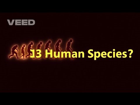 How Many Human Species Existed Lost Humans of History Explained