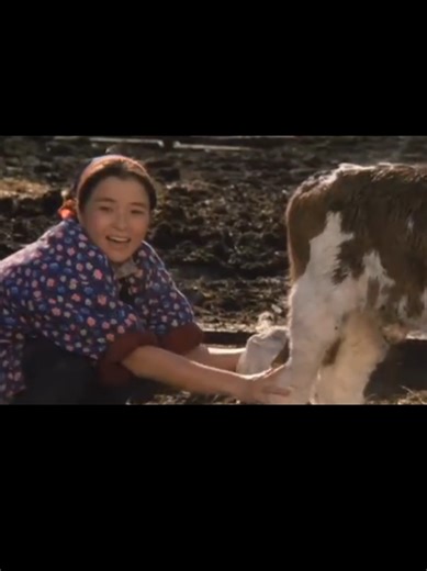 『遙かなる山の呼び声』（1980） 監督/山田洋次 高倉健 倍賞千恵子 吉岡秀隆 #日本映画の名作 #昭和・日本映画の女優 #fyp