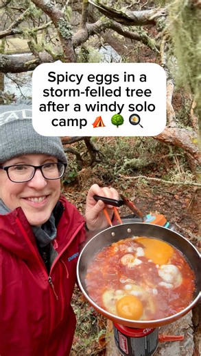 Cooking Spicy Eggs in a Storm-Felled Tree