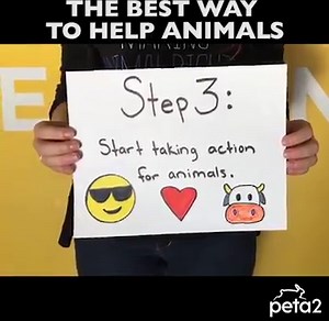 71K views · 87 reactions | Helping animals is so easy that  could...