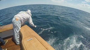 9.2K views · 222 reactions | Great video via @MichaelMurray - 2017 Hudson Canyon Trip with the Canyon Runner Crew | Canyon Runner Sportfishing | Facebook