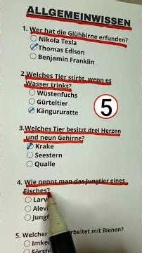 Allgemeinwissen wie viele kannst du richtig beantworten?... #Shorts #brainquiizger