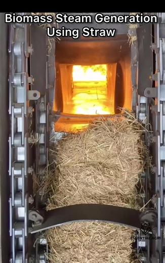 Biomass Steam Generation Using Paddy Straw (Rice Husk) This system shows a biomass-fired steam boiler where paddy (rice husk or rice straw) is used as the fuel source to produce steam. How it works: •Straw is fed continuously into the boiler using a mechanical conveyor or chain feed system. •The fuel is burned in a controlled combustion chamber at high temperatures (typically 700–900°C). •Heat from combustion is transferred to water-filled boiler tubes, converting water into high-pressure steam.
