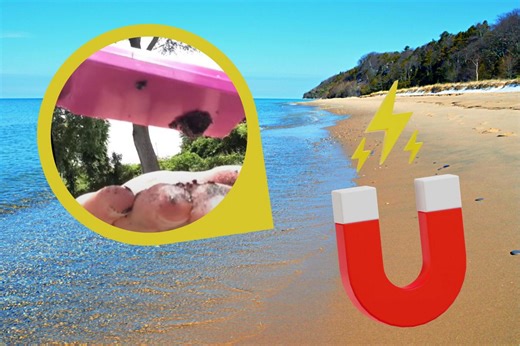 Do Michigan Beaches Really Have Magnetic Sand?