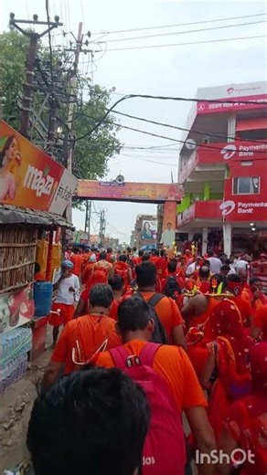 BOL BOM YATRA l #mahadev #mahadevstatus #bolbom #bholenath #shortvideo #viralvideo