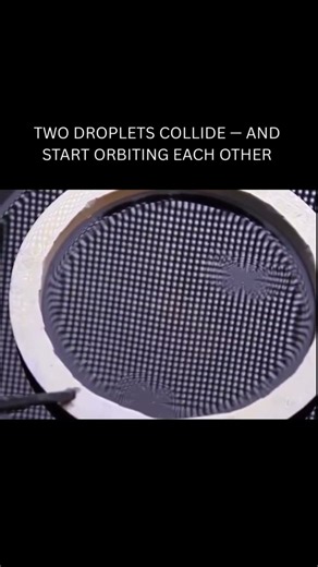 Quantum Physics You Can Actually See! 🤯🔬​#QuantumPhysics #PhysicsFacts #ScienceExperiment