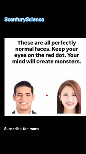 Flashed Face Distortion Effect (FFDE) 👀