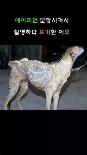 CG 없이 에이리언을 촬영하면 안되는 이유