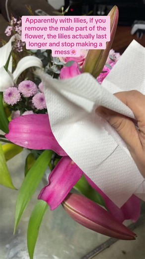 Remove Lily Stamens to Make Cut Lilies Last Longer