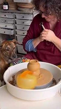 The Hidden Moment That Changes the Dog’s Toy Trick