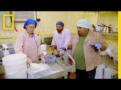 The Cheesemaker! | National Geographic