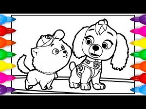 Liberty and Mini Coloring Pages | PAW Patrol The Mighty Movie