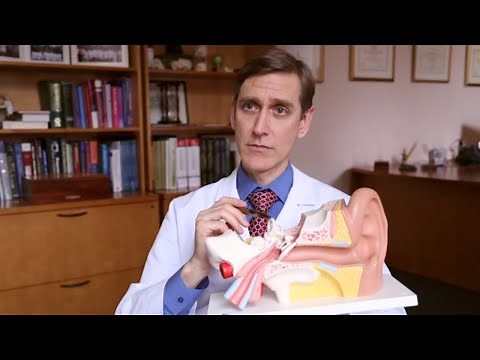 Superior Canal Dehiscence Syndrome Symptoms: Q&A with a Johns Hopkins Expert