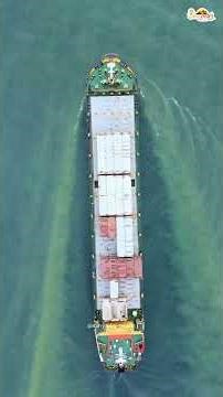 Basra Pearl vs Freshwater Pearl