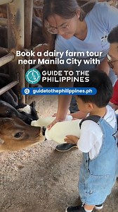 151K views · 3.1K reactions | 拏 Visit a dairy farm near Manila City! Pinkie's Farm in Batangas Province is the perfect spot for a family-friendly adventure! ✅ Bottle-feed baby calves ✅ Hand-milk cows ✅ Make pastillas & mozzarella ✅ Enjoy fresh milk & yogurt Book your farm experience today at www.guidetothephilippines.ph  | Guide to the Philippines | Facebook