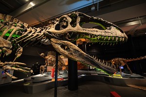 Frost Science - Ultimate Dinosaurs: Meet a New Breed of Beast