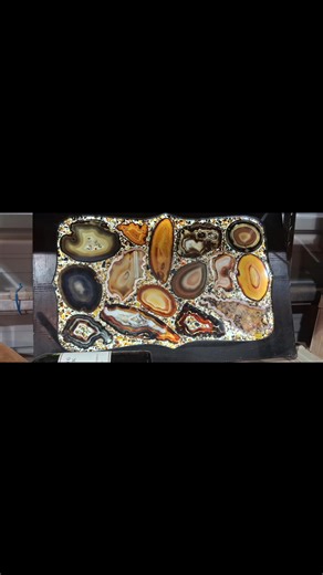 Mineral and fossils show in Quartzsite Arizona 2026 | Fossils work shop