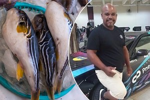 Video: Man dies after eating deadly pufferfish