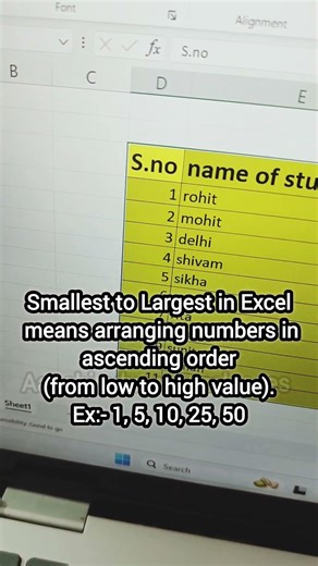 Largest to Smallest Sort in Excel | Easy Trick 🔥