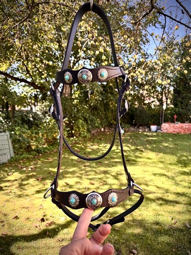 Sidepull / Bitless Bridle Leather - Etsy Ireland