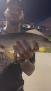 #Weakfish #acfishinglife #ac #nj Catching a peace of mind , on the famous jetty’s Atlantic city 2025 spring run, #FishTrap￼ ￼￼￼￼￼#BANGIN TIDE TIMES for Thursday 6/19/25 in Atlantic City, NJ. Next high tide : 2:38 PM Next low tide : 8:16 AM Sunset today : 8:29 PM ALL NEW. 🆕 ONESTOP Bait & Tackle 414 Atlantic City NJ 08401 609-363-BASS￼ Jumbo BloodWorm Live Shell clams 🐟 Live Jumbo Blood Worm 🐟 Live Green crabs 🐟 Fresh Bunker 🐟 Live minnows 🐟 ￼#TripleBANGIN ￼#BigFish￼ #AC #OnFire ￼#ONESTOP #