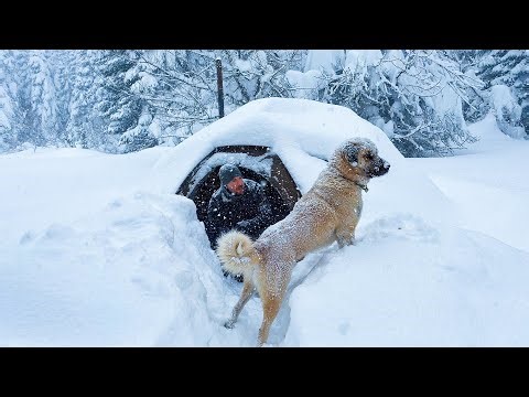 Caught in a Heavy Snowstorm! - Extreme Deep Snow Camping With My Dog!