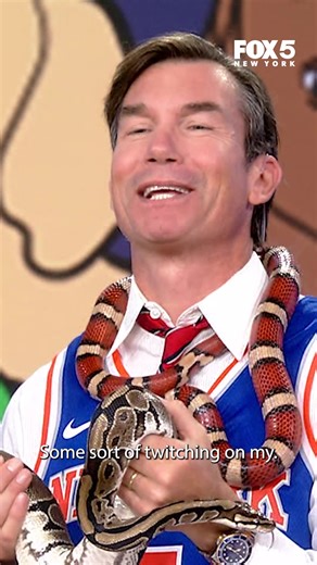 Jerry O'Connell's Fun Encounter with Snakes on Good Day New York