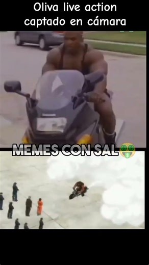 el verdadero oliva biscuit #memes #humor