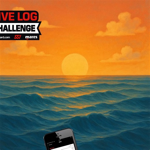 Only 10 days left for the Dive Log Challenge in the month of August. Log your dives to stand a chance to win great prizes! Details here: https://www.divessi.com/divelogchallenge | SSI