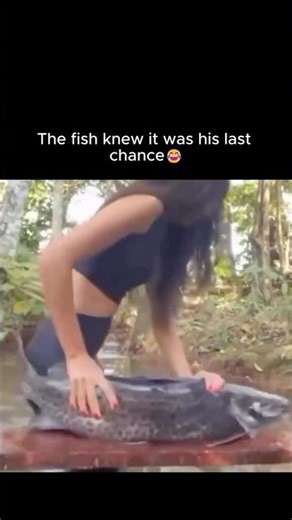 Unexpected fish behavior #fish #funny #sealife #fishvideo #viral #foryou
