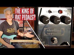 The Newest Rat Pedal: Sterling Vermin Distortion Demo by John Bohlinger | PG Plays