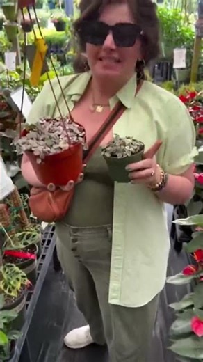 Hot take: buy the bigger plant