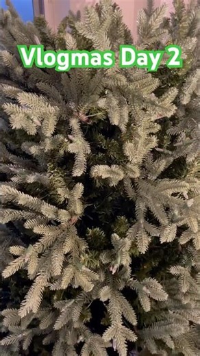 Vlogmas Day 2 🎄 The tree is up! #vlogmas #クリスマス #ビログマス