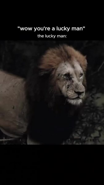 E-commerce Success: From Dropshipping to Millionaire Mindset