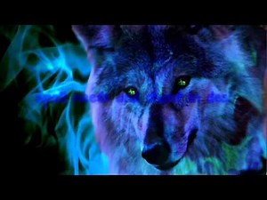 Wolf Transformation Spell