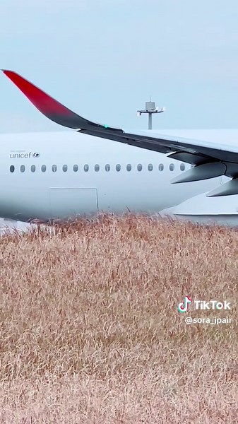 A350雑学🖋️🛫#空 #飛行機 #A350