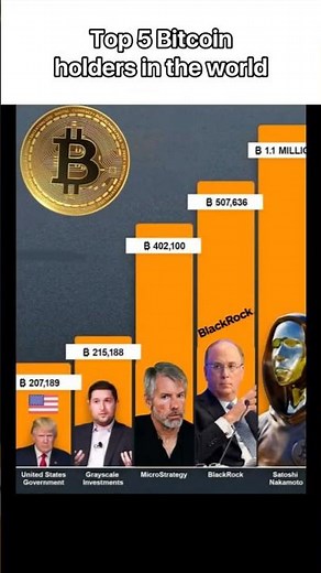 Top bitcoin holders in the world #crypto #cryptocurrency #cryptotrading
