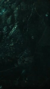 223K views · 7.6K reactions | James Cameron's seminal film ALIENS will celebrate it's 40th anniversary this year, and to honor the film, we'll be kicking off a new series re-engaging the film in new and exciting ways! Stay tuned. #Aliens1986 #JamesCameron #AvatarMovie #SigourneyWeaver #xenomorph #HRGiger #danobannon | Perfect Organism: The ALIEN Saga Podcast | Facebook