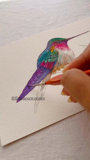 Bird love! 💖🐣💙 Hummingbird! Downloadable template for my Bird Painting Course students 🤗❤️ WIP Color: @industriamaimeri Metallic watercolor: @skrim_watercolors Please help me decide the color of the baby Hummingbird. Will she look good in her Mama’s color or some other color? #littleheartcreates #color #watercolor #colorful #mindfulness #aethetic #aestheticedits #reelitfeelit #fineart #hummingbirds #painting #illustration #illustrationartists #artist | Littleheartcreates