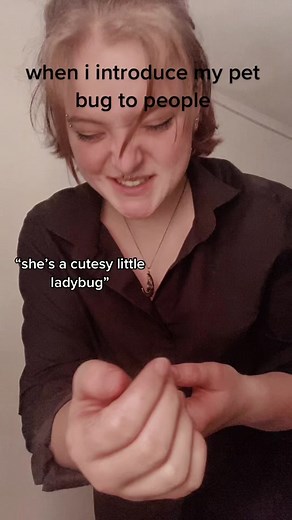 Introducing Sapphire: My Unique Pet Cockroach