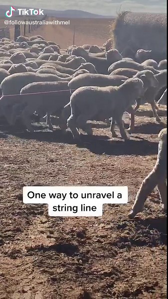 Unraveling String Line: Tips from Tradielife Lady Ba Ba Mel McGorman