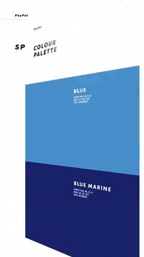 Logo Design Tip #1: New PayPal Logo Concept!