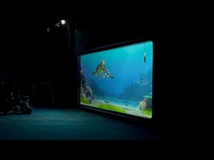 Turtle Talk with Crush Full Show at Disney California Adventure Park December 2021