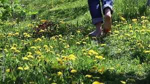 Barefoot man walks the path in the green grass.
