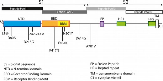 Where Can I Find High Tail Hall 2? - What Box Game