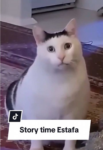 Aprilcover on TikTok