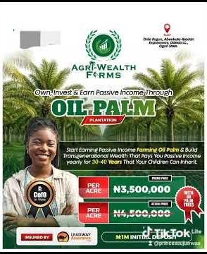 Oil Farm LamfPlantation