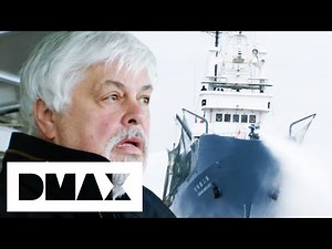 Japanese Whaling Ship Attacks The Sea Shepherds | Whale Wars